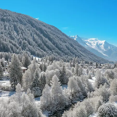 Appartement Grand Roc - Campanules 412 - Happy Chamonix