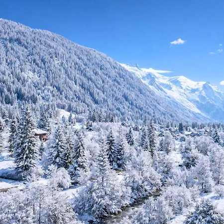 Résidence Grand Roc - Campanules 412 - Happy * Chamonix