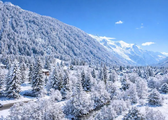 Grand Roc - Campanules 412 - Happy * Chamonix